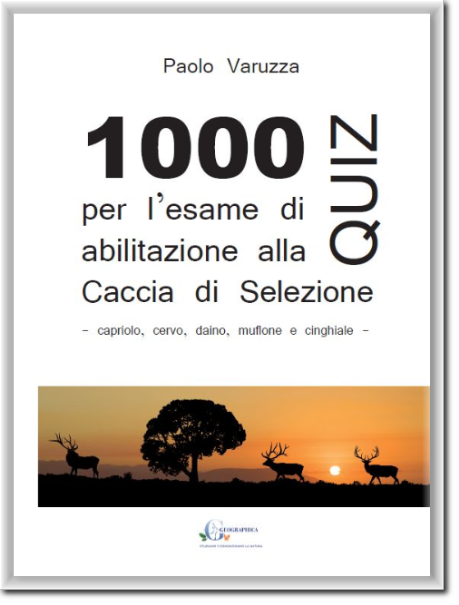 Quiz-caccia-di-selezione