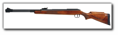 diana-460-magnum