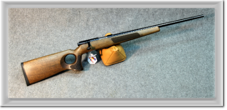 Carabina-Custom
