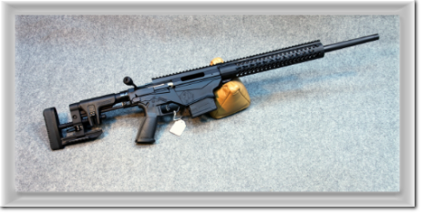 Ruger-da-Interdizione