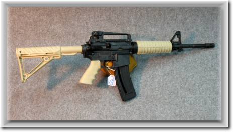 M4-Chiappa-22-LR