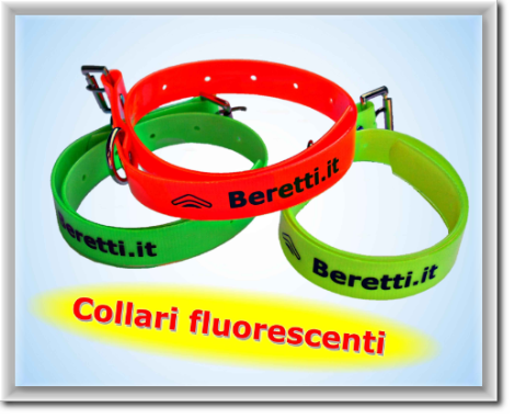 Collari-Fluorescenti