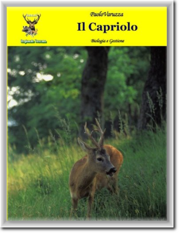 Paolo-Varuzza-il-capriolo