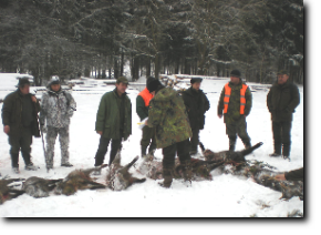 Battuta-di-caccia-al-cinghiale