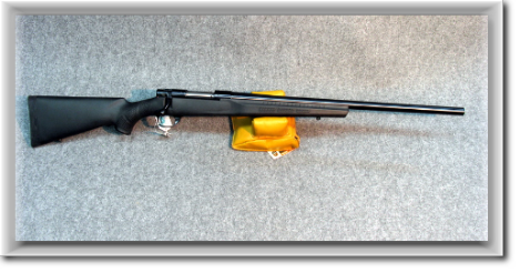 varmint-308