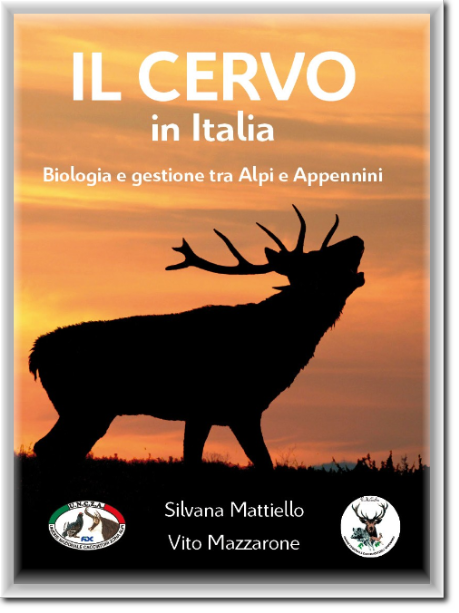 Il-cervo-in Italia
