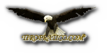 LOGO-TIRO-PRATICO