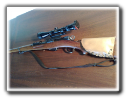 attacco-ottica-shmidt-rubin