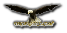 LOGO-TIRO-PRATICO