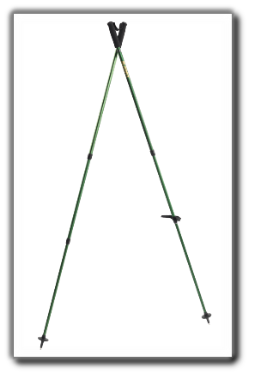 bipiede-caccia