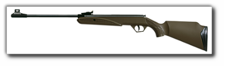 Diana-P21-Militare