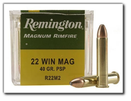 Remington-22-Win