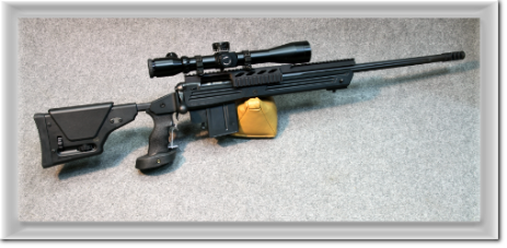 Savage-308-di-precisione