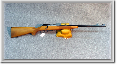 22LR-ECONOMICA