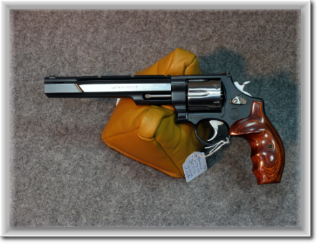 S&W-Hunter-Plus