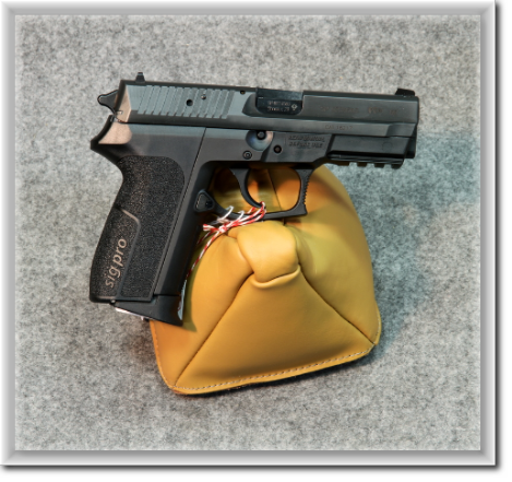 Sig-Pro-2022