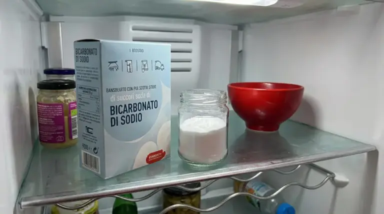 Contenitore di bicarbonato di sodio all'interno di un frigorifero domestico