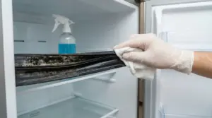 Mano con guanto pulisce guarnizione ammuffita del frigorifero con un panno