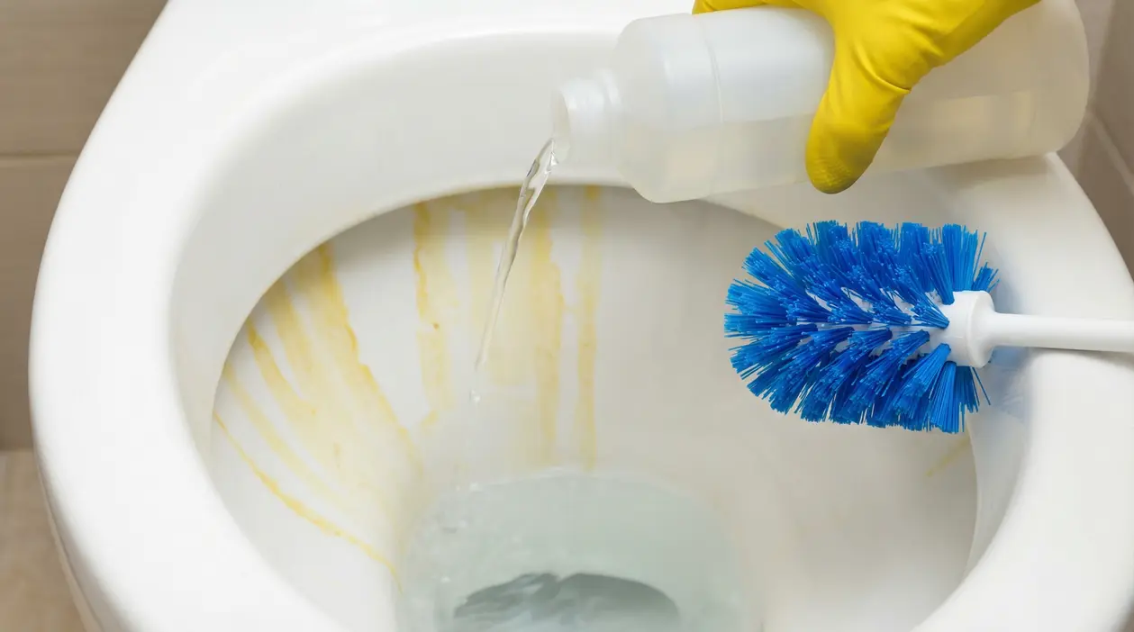 Macchie gialle all'interno di un wc pulito con spazzolone e detergente.