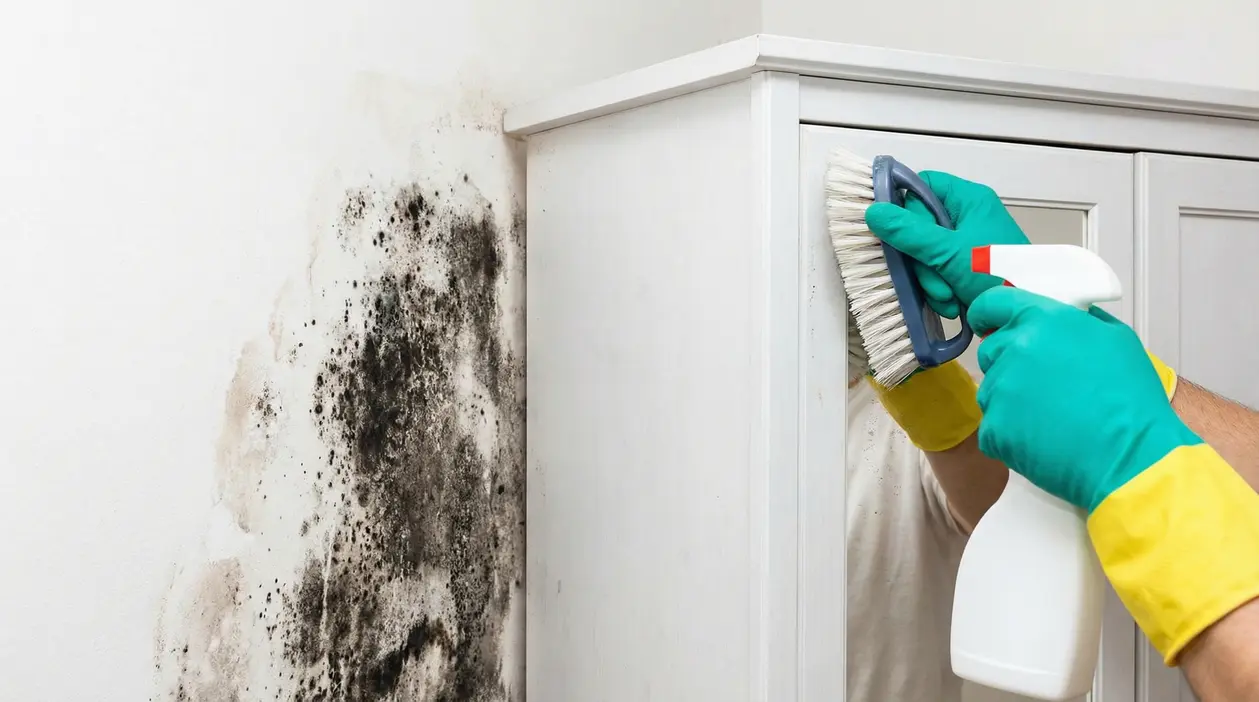 Una persona pulisce un armadio vicino a una parete con muffa visibile
