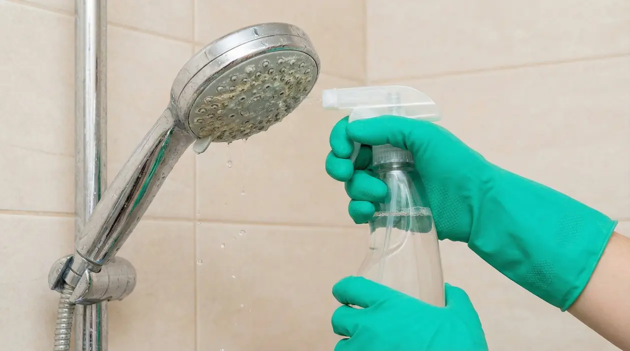 Una mano con guanto verde pulisce un soffione della doccia con uno spray anticalcare