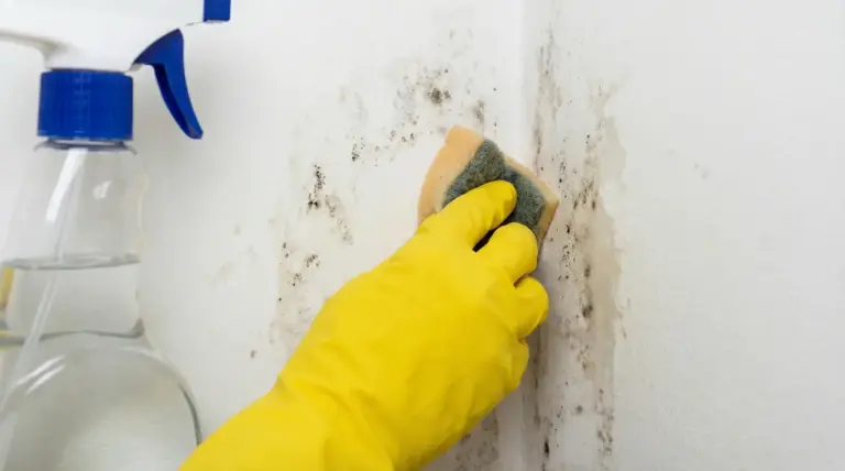 Mano con guanto giallo che pulisce una parete con macchie di umidità usando una spugna